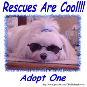 rescueshades4web.jpg