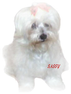 sassyfade2w.jpg